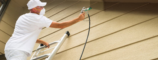 Painter Ladder